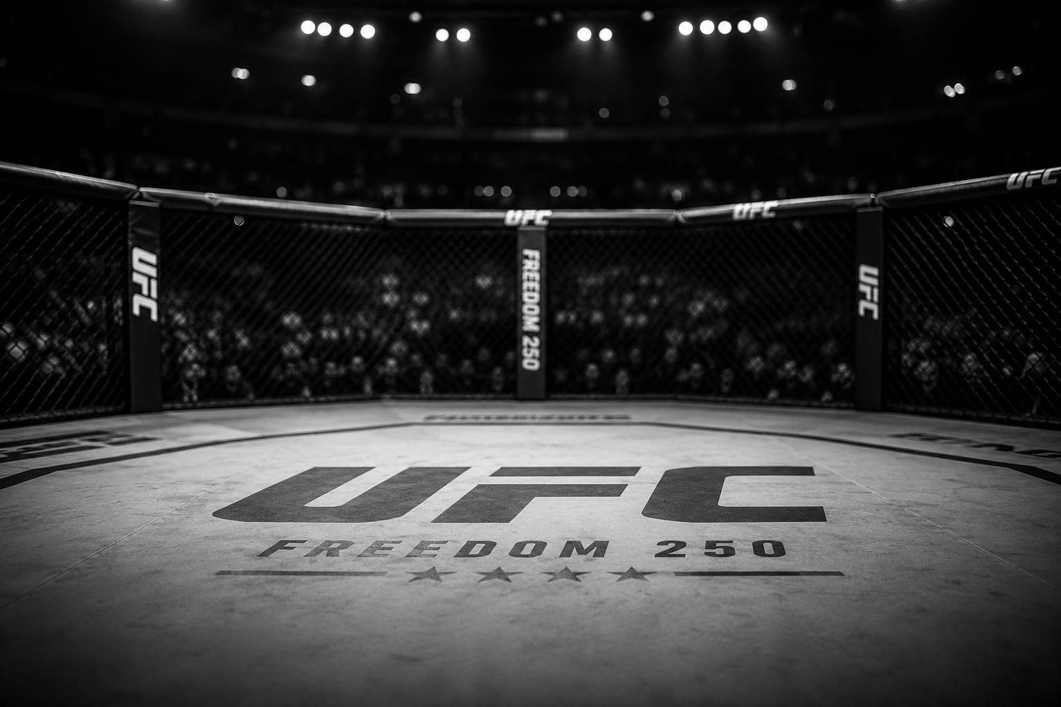 UFC Freedom 250 Winners and Losers and What's Next